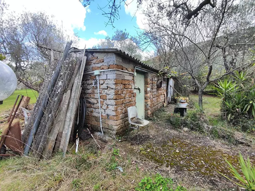 Immagine 16 di Terreno agricolo in vendita  in Via Dello Scalo Ferroviario 12 a Marcellina