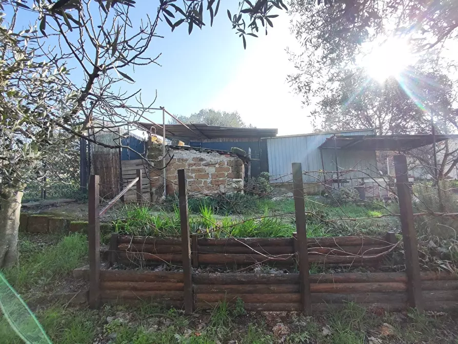 Immagine 17 di Terreno agricolo in vendita  in Via Colle di Mitriano a Guidonia Montecelio