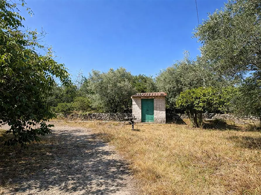 Immagine 9 di Terreno agricolo in vendita  in CONTRADA SABATU' a Canicattini Bagni