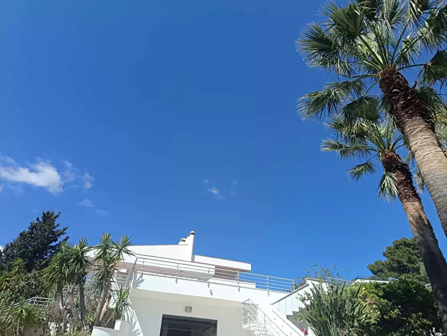 Immagine 48 di Villa in vendita  a Altavilla Milicia