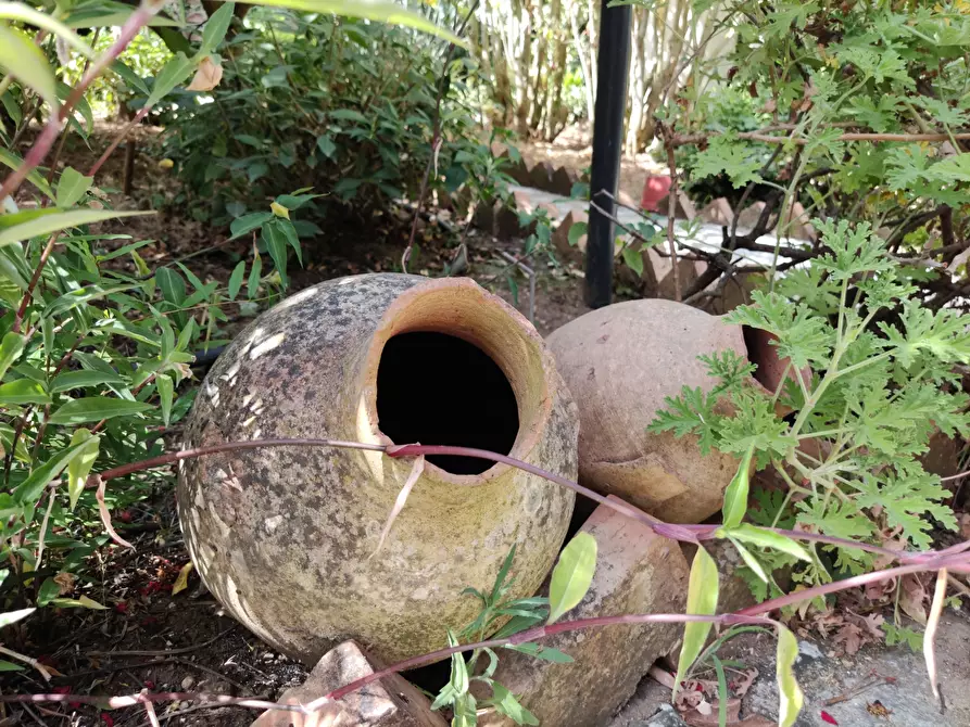 Immagine 68 di Villa in vendita  a Castellammare Del Golfo