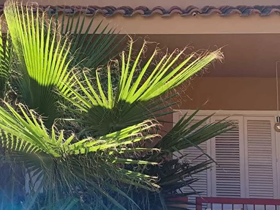 Immagine 21 di Villetta a schiera in vendita  in VIA ADONE 9 a Palermo