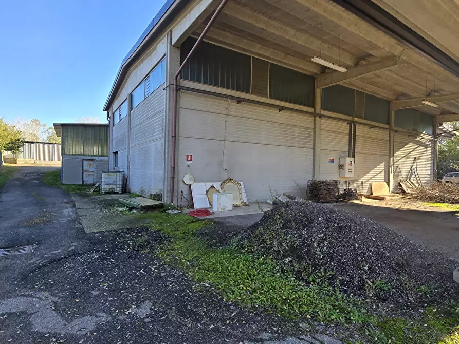 Immagine 2 di Capannone industriale in vendita  in Via delle Regone a San Colombano Al Lambro