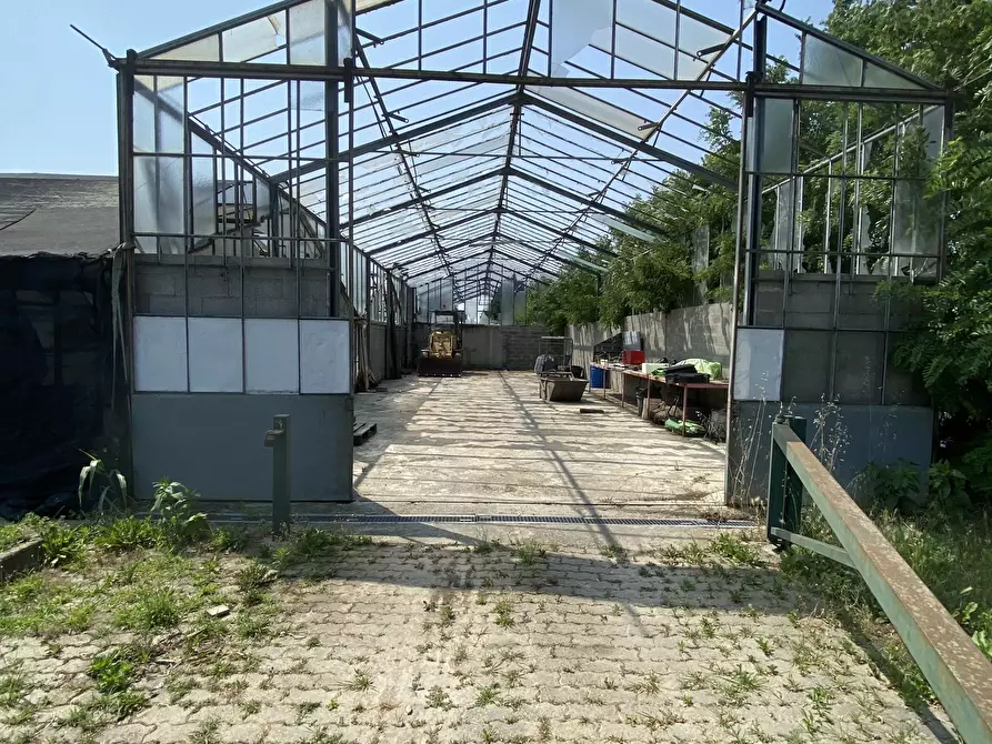 Immagine 5 di Terreno agricolo in vendita  in VIA CERCA 2 a Settala