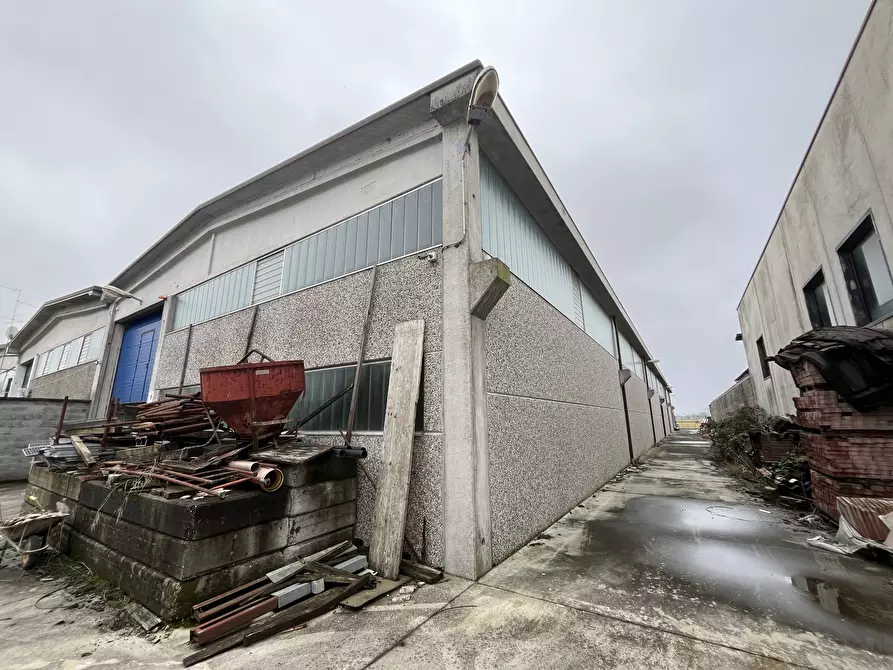 Immagine 9 di Capannone industriale in vendita  in Loc. Prado - Strada Paiola a Cura Carpignano