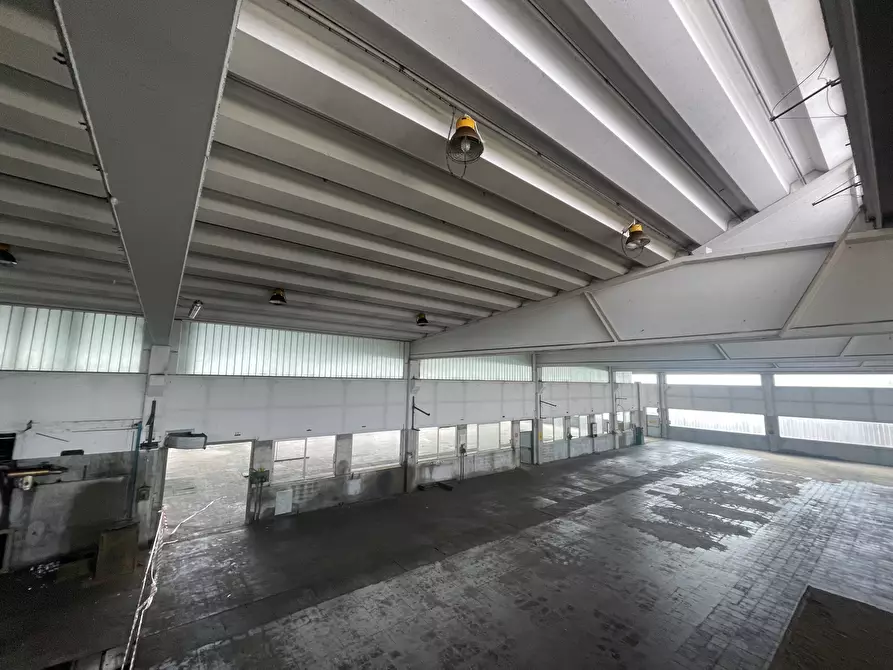 Immagine 35 di Capannone industriale in vendita  in Via Po 2 a Codogno