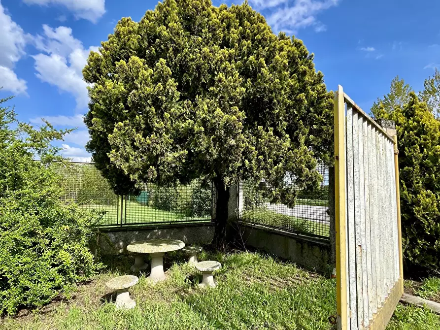 Immagine 18 di Capannone industriale in vendita  in Via Circonvallazione 9 a Villanterio