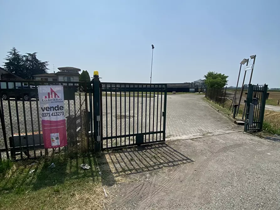 Immagine 3 di Terreno agricolo in vendita  in VIA CERCA 2 a Settala