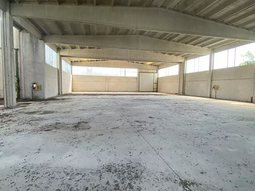 Immagine 6 di Capannone industriale in affitto  in VIA BRODOLINI 5 a Casalpusterlengo