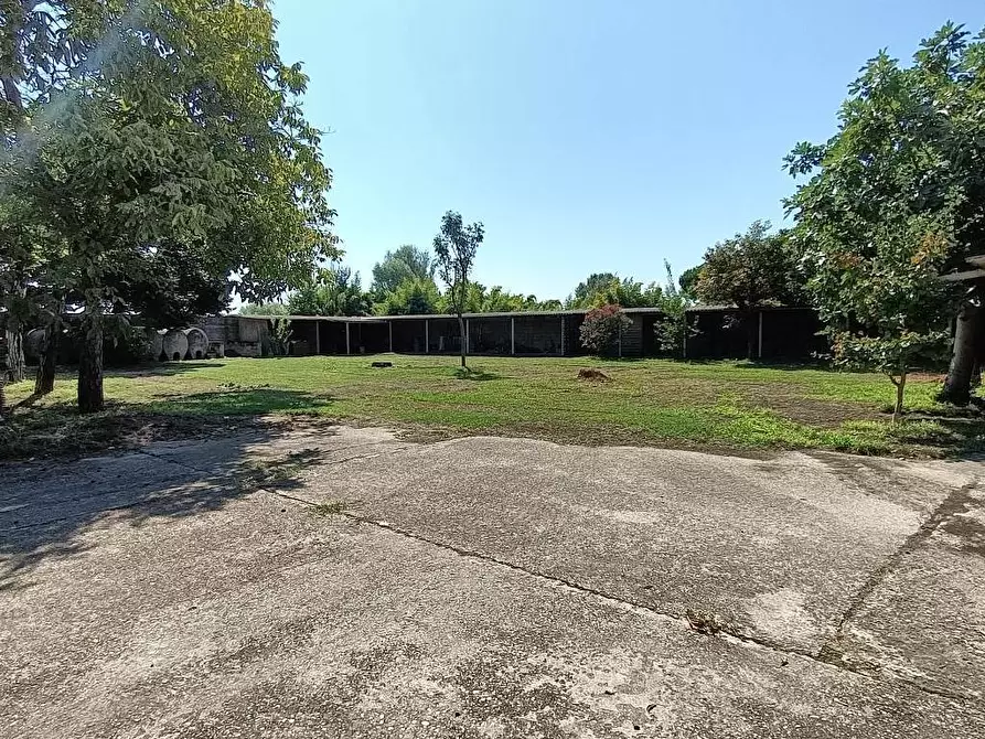 Immagine 24 di Porzione di casa in vendita  a San Martino Di Venezze