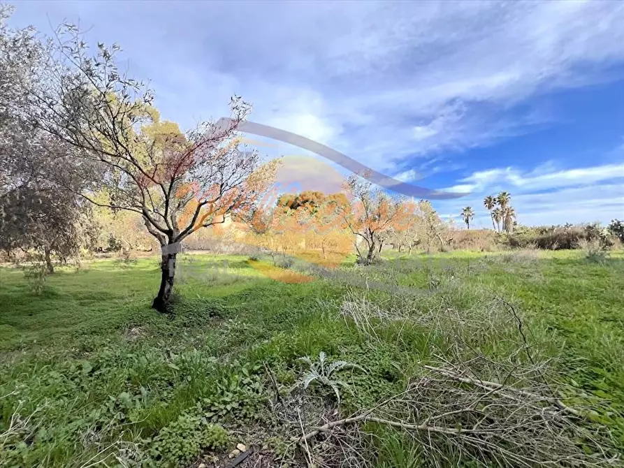 Immagine 22 di Villa in vendita  in VIA BLANCO a Siracusa