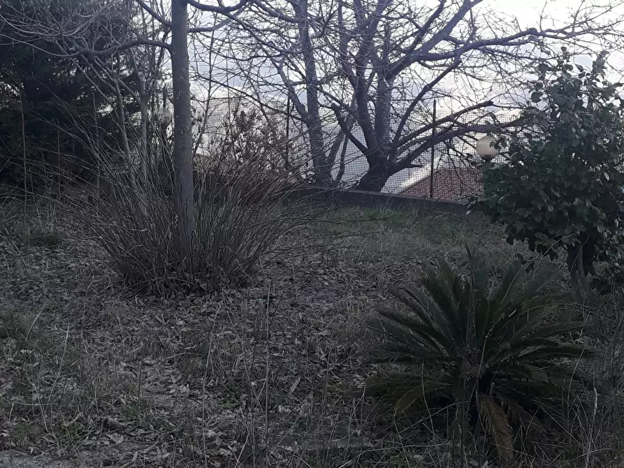 Immagine 15 di Porzione di casa in vendita  in Strada Provinciale 93 a Martirano Lombardo