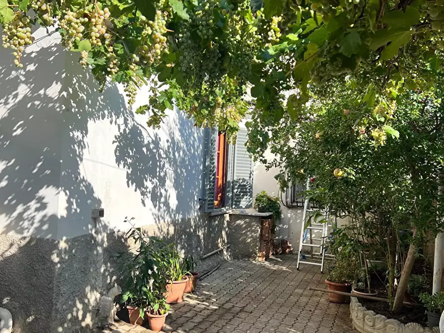 Immagine 21 di Pentalocale in vendita  in Traversa III Amalfi a Gizzeria