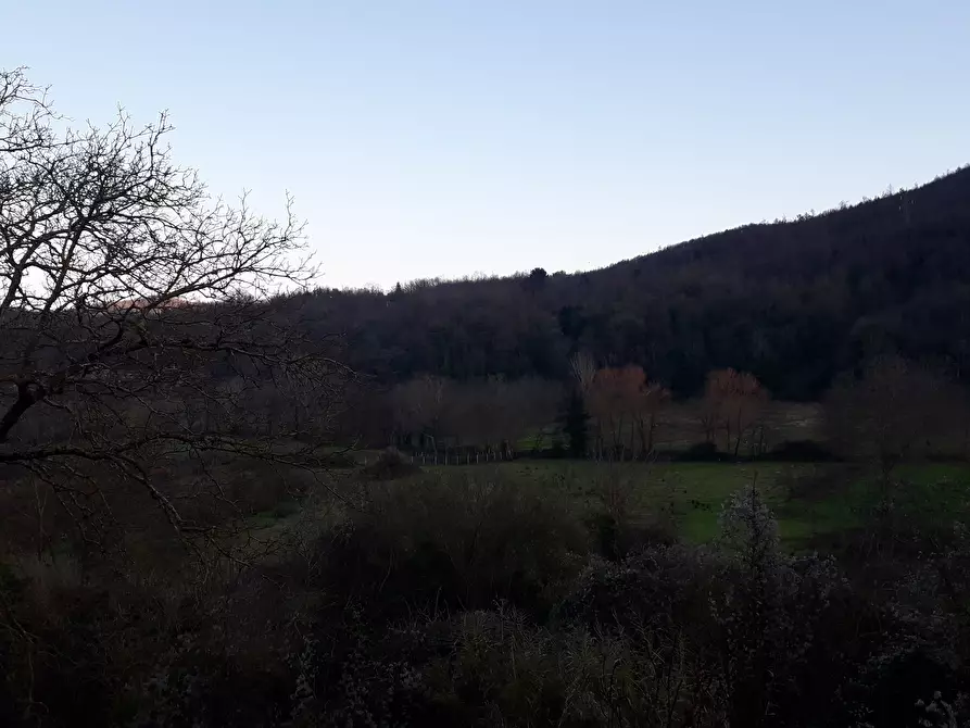 Immagine 5 di Terratetto in vendita  in Via Roma 79 a Decollatura