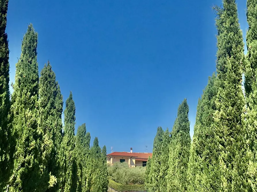 Immagine 3 di Agriturismo in vendita  a Castelnuovo Magra