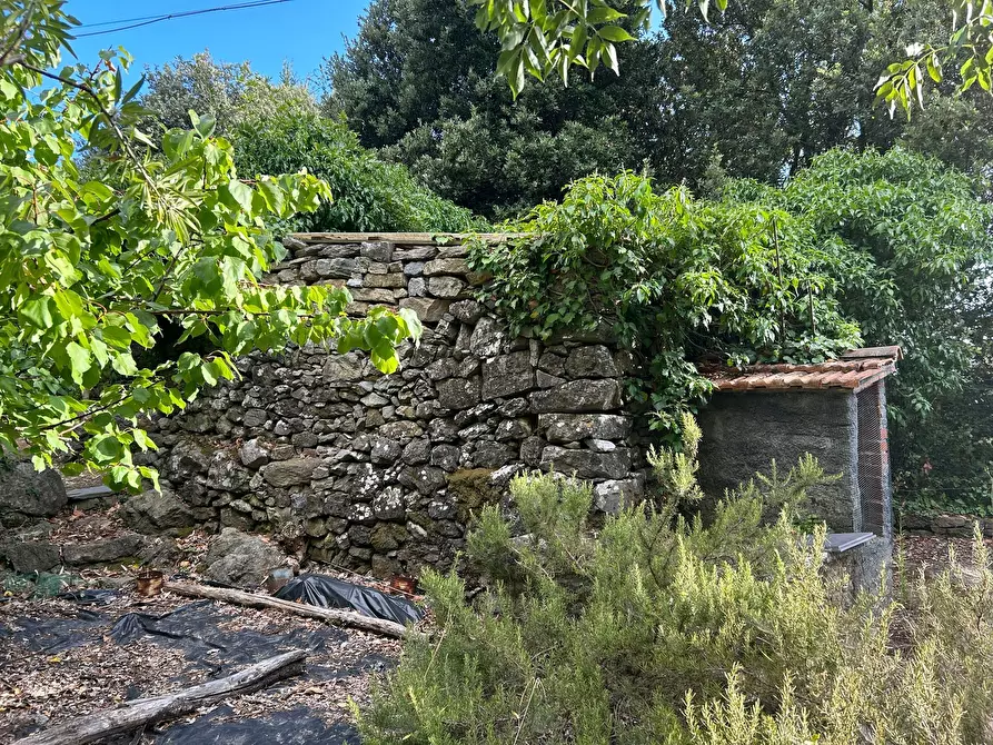 Immagine 3 di Rustico / casale in vendita  a Ameglia