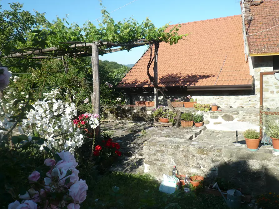 Immagine 59 di Casa indipendente in vendita  in Località Luscignano 18 a Casola In Lunigiana