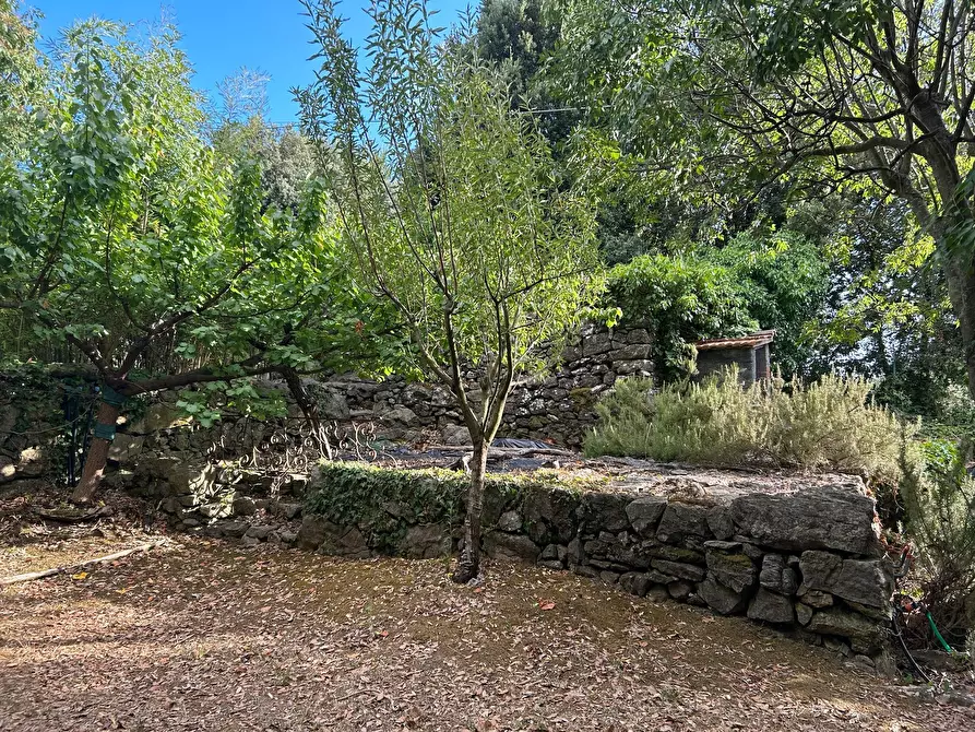 Immagine 12 di Rustico / casale in vendita  a Ameglia