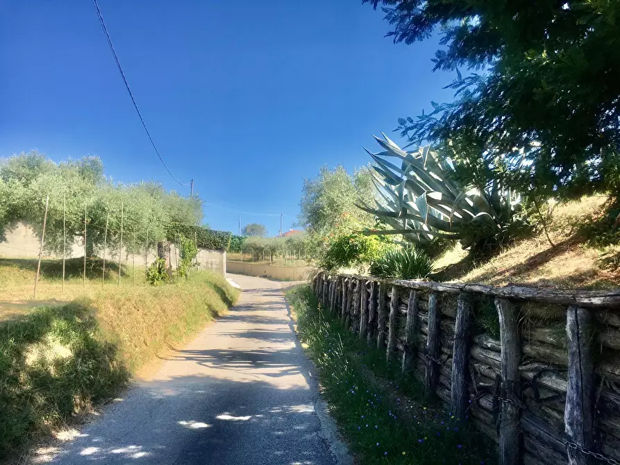Immagine 3 di Rustico / casale in vendita  a Castelnuovo Magra