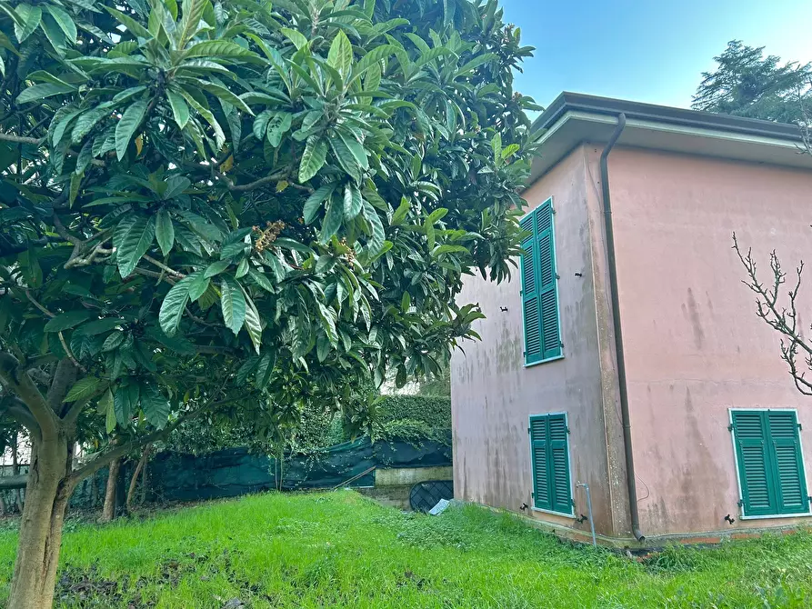 Immagine 42 di Villetta a schiera in affitto  a Ameglia