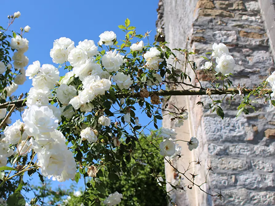 Immagine 61 di Terratetto in vendita  in Località Luscignano 18 a Casola In Lunigiana
