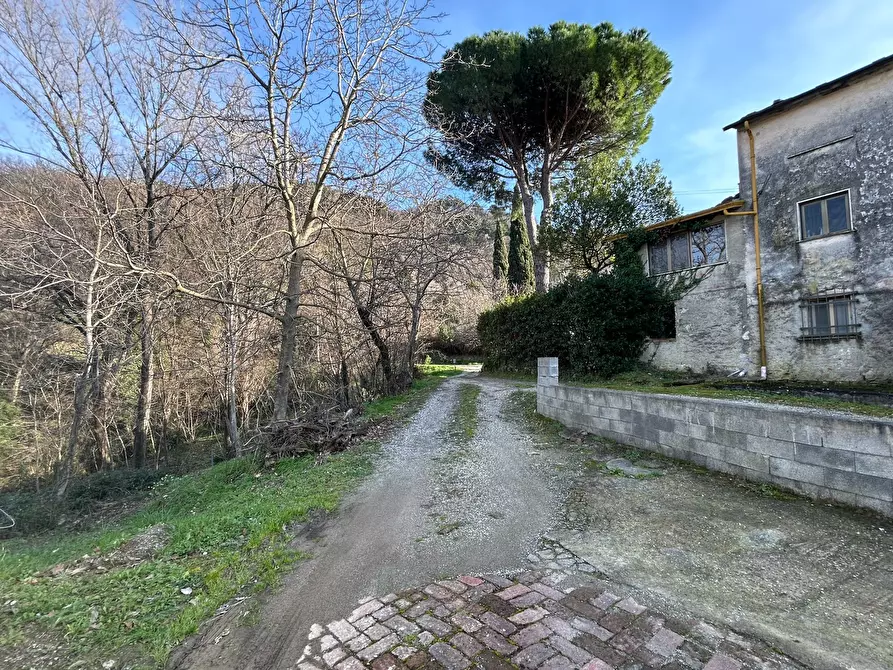 Immagine 8 di Rustico / casale in vendita  a Castelnuovo Magra
