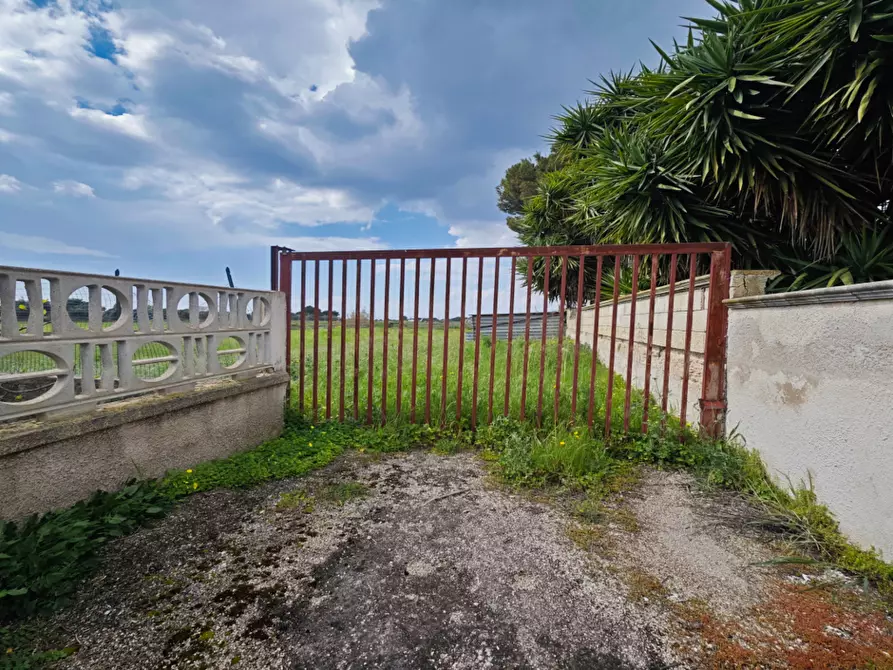 Immagine 4 di Terreno agricolo in vendita  in Via Rosmarini a Leporano