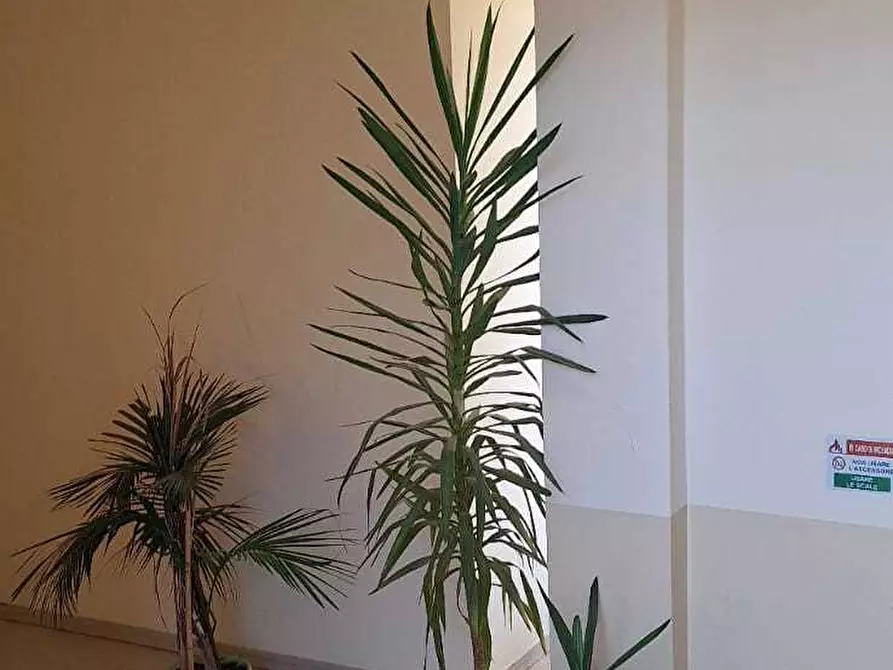 Immagine 6 di Trilocale in vendita  in Via Roma a Pieve Porto Morone