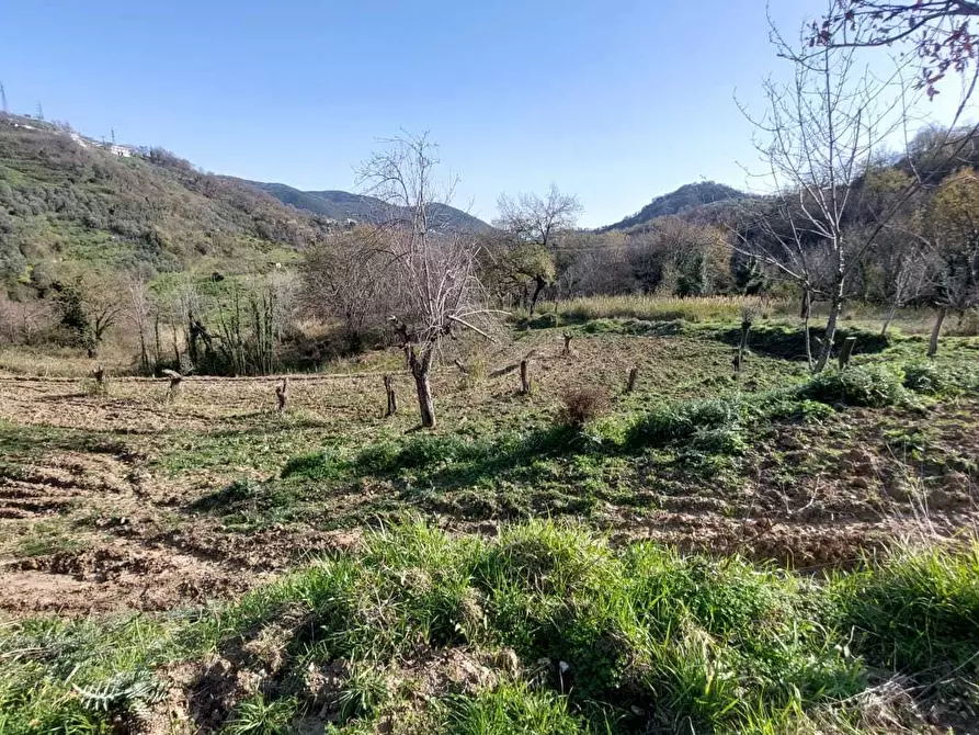Immagine 13 di Terreno agricolo in vendita  in via casa vicinanza a Salerno