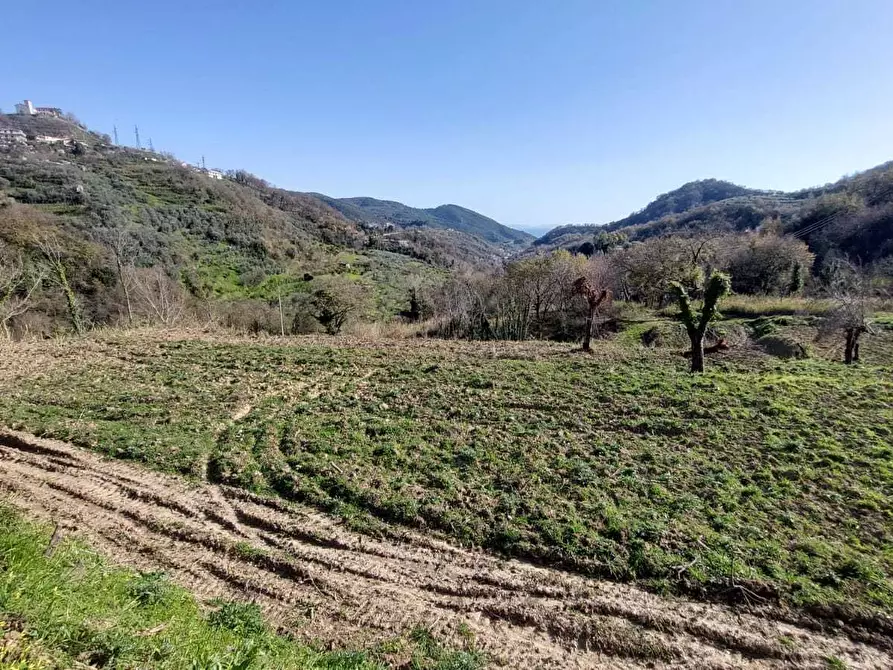 Immagine 10 di Terreno agricolo in vendita  in via casa vicinanza a Salerno