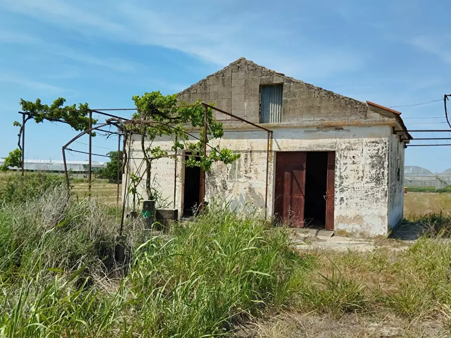 Immagine 15 di Terreno agricolo in vendita  in via bernardo tanucci a Eboli