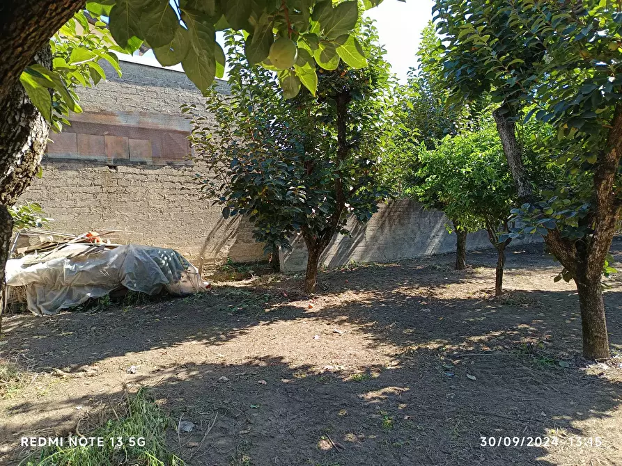 Immagine 6 di Terreno agricolo in vendita  in Via San Maria a Palo 59 a Nocera Inferiore