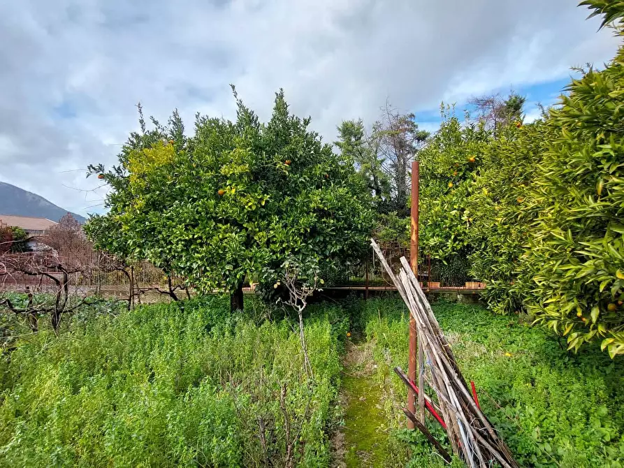 Immagine 17 di Terratetto in vendita  in Via Platani 8 a Giffoni Sei Casali