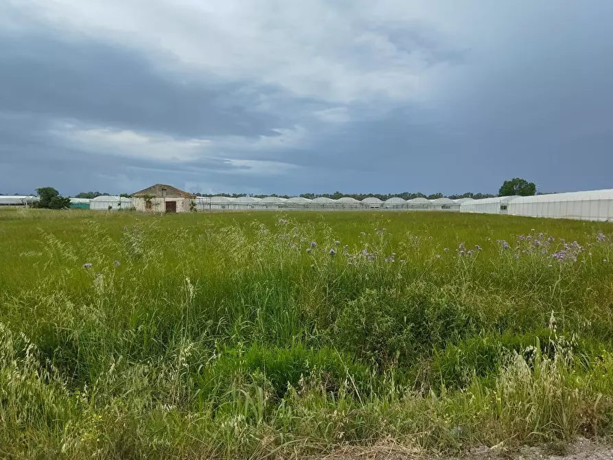 Immagine 19 di Terreno agricolo in vendita  in via bernardo tanucci a Eboli