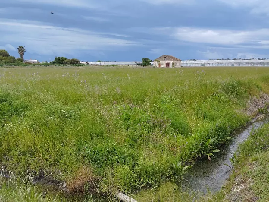 Immagine 22 di Terreno agricolo in vendita  in via bernardo tanucci a Eboli
