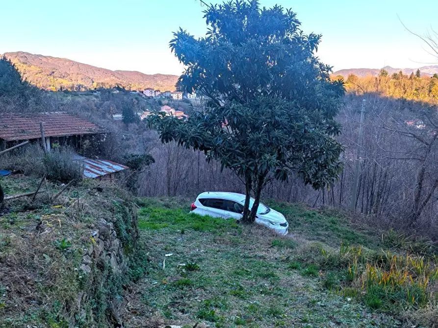 Immagine 23 di Trilocale in vendita  in Via Balletti 10 a Ceranesi