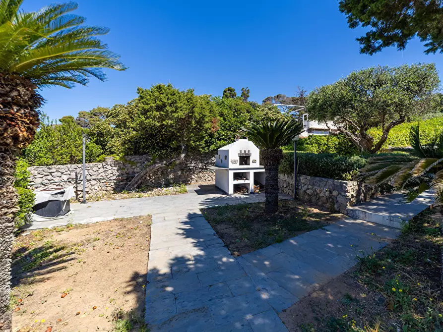 Immagine 6 di Villa in affitto  in Via delle Mimose snc a Orbetello