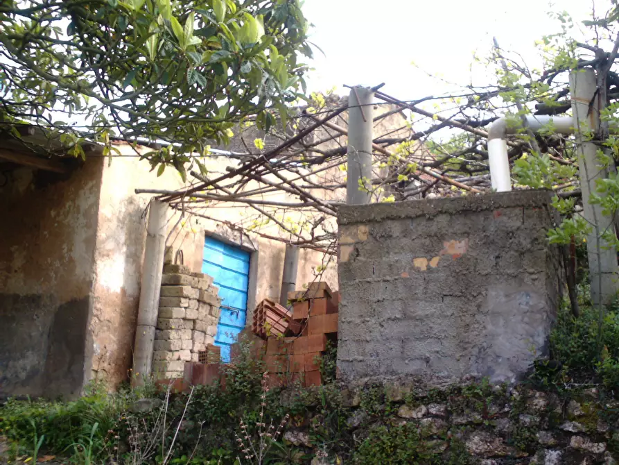 Immagine 7 di Rustico / casale in vendita  a Monte Argentario