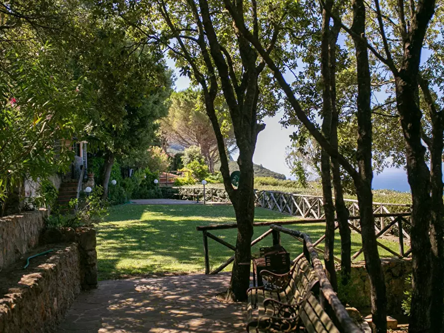 Immagine 16 di Porzione di casa in vendita  in Cala Piccola snc a Monte Argentario