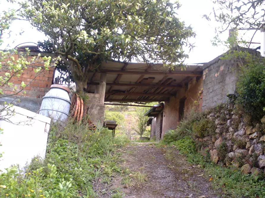 Immagine 1 di Rustico / casale in vendita  a Monte Argentario