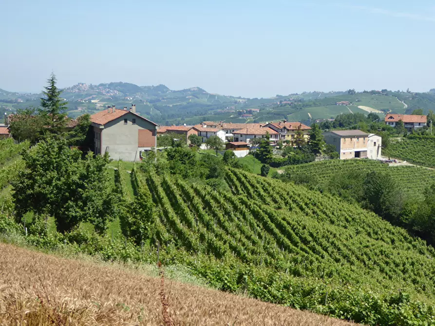 Immagine 4 di Casa indipendente in vendita  in Borgata Pamparato 29 a Dogliani