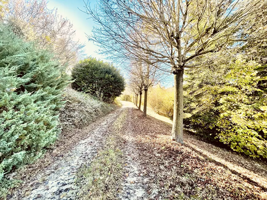 Immagine 3 di Rustico / casale in vendita  in Località Panate 18 a Farigliano