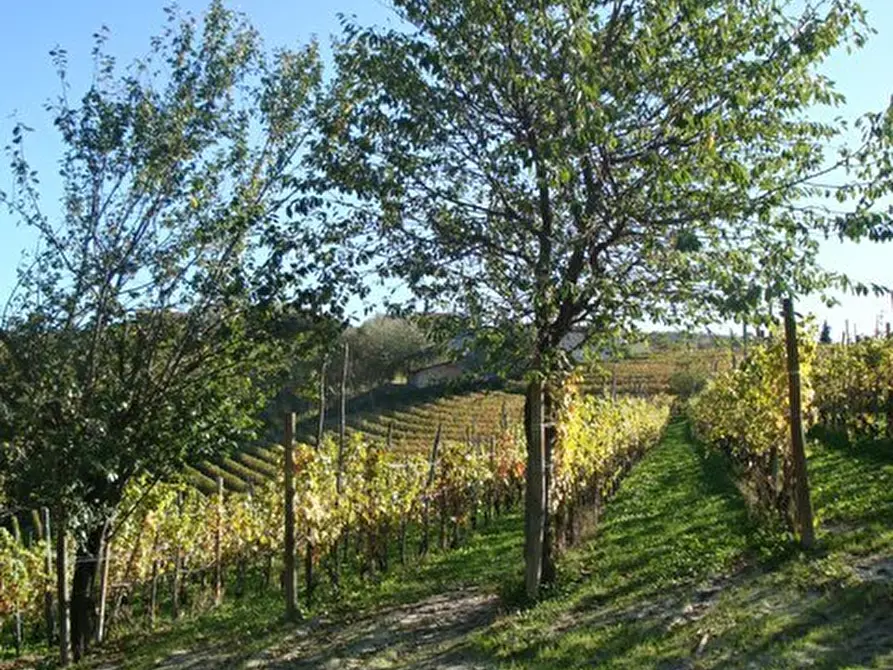 Immagine 10 di Casa indipendente in vendita  in Borgata Pamparato 29 a Dogliani