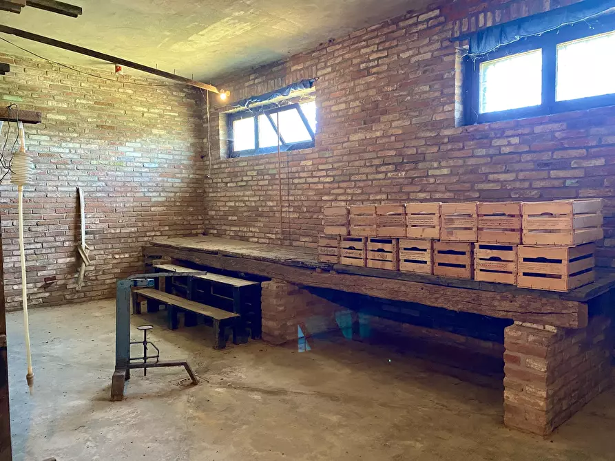 Immagine 13 di Rustico / casale in vendita  in Borgata Piancerreto Sottano 8 a Dogliani