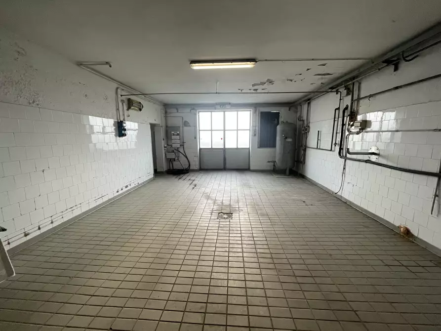 Immagine 14 di Azienda agricola in vendita  in Via al Serraglio 35 a Colorno