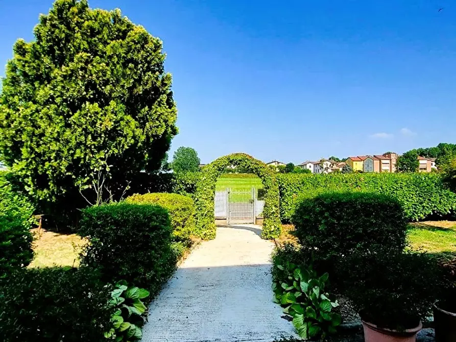 Immagine 36 di Quadrilocale in vendita  in Via Pietro Nenni 38 a Fontanellato