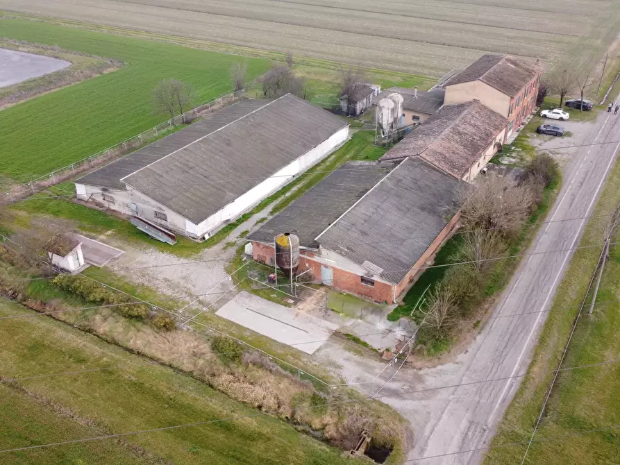 Immagine 6 di Azienda agricola in vendita  in Via al Serraglio 35 a Colorno