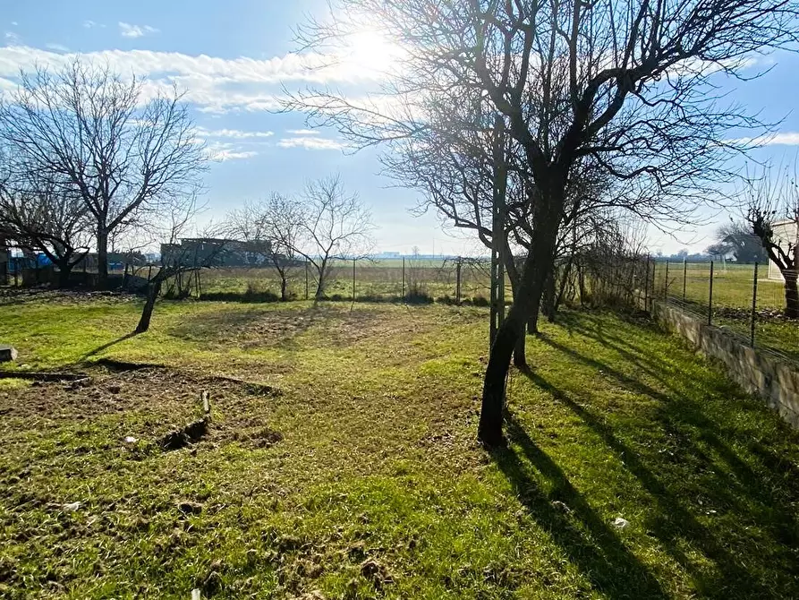 Immagine 33 di Villetta a schiera in vendita  in Argine Filippina 104 a Sissa Trecasali