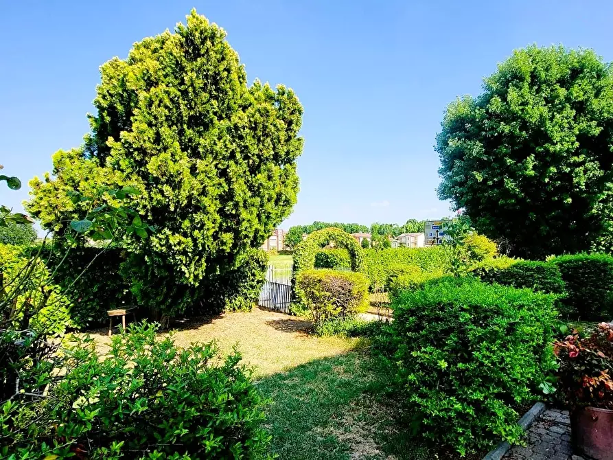 Immagine 40 di Quadrilocale in vendita  in Via Pietro Nenni 38 a Fontanellato