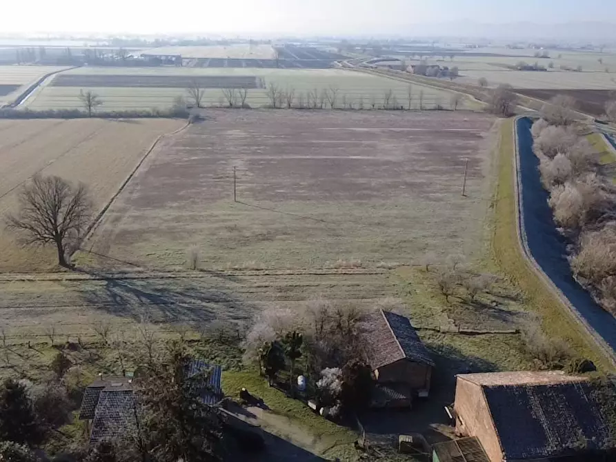 Immagine 4 di Terreno agricolo in vendita  in Strada Colmignola 2 a San Secondo Parmense